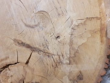 Дуб Срез 105х105 Дуб после сушки