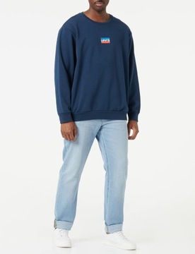 Levi's Standard Graphic Crew Sweatshirt