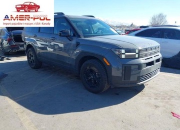 Hyundai Santa Fe V 2024 Hyundai Santa Fe XRT 2024 2.5l 2.5 Benzyna 277KM