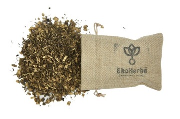 JEŻÓWKA Echinacea Korzeń - 50 Gram Ekoherba