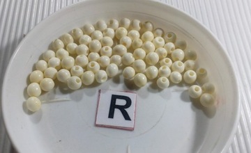 PIK 020 КОСТЬ БУЙВОЛА с отверстием, всего 9 зл.