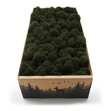 Mech chrobotek fiński 500g netto oliwkowy