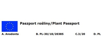 Małż Małże Małża SZCZEŻUJA OCZYSZCZA FILTRUJE WODĘ