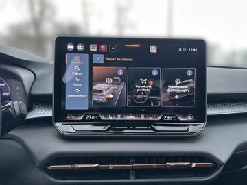 Cupra Terramar SUV 2.0 TSI 265KM 2025 Cupra Terramar 2.0 TSI 265KM 4Drive VZ DSG Gwaranc, zdjęcie 22