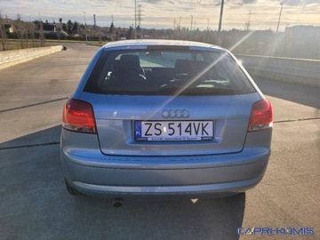 Audi A3 8P Hatchback 3d 1.6 102KM 2007 Audi A3 3-drzwiowe 1.6 MPi nowe opony Serwis Bezwypadkowy 1.6 Benzyna 102KM, zdjęcie 5