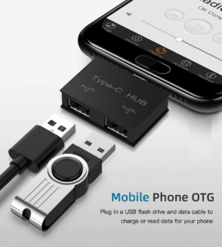 HUB USB-C на 2 разветвителя USB 2.0