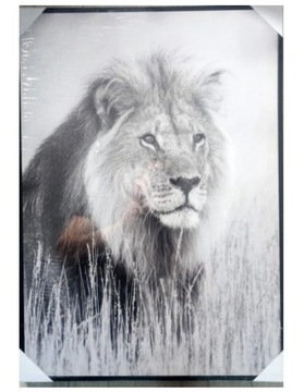 Obraz na płótnie Lew czarno - biały 50x70 cm