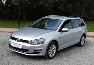 Volkswagen Golf VII Variant 1.6 TDI BlueMotion  110KM 2015 Volkswagen Golf 1,6 Tdi Navi Alufelgi Klimatronik Po oplatach z Niemi, zdjęcie 25