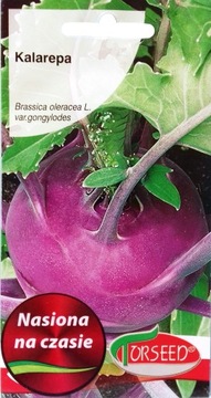 Kalarepa Delikatess Blauer nasiona 2g
