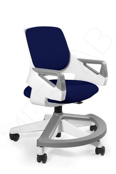 Krzesło dziecięce ergonomiczne Rookee Unique