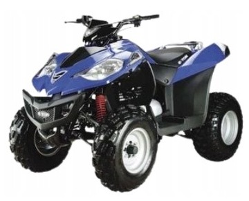 ПОРШЕНЬ + КОЛЬЦА/КОМПЛЕКТ ПОРШНЕВЫХ КОЛЬЦЕВ Quad ATV E-TON Vector 250 OEM!