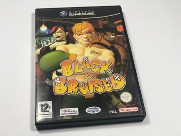 Black and Brusied Nintendo Gamecube