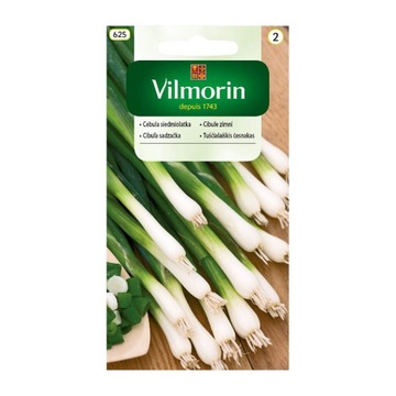 CEBULA siedmiolatka BAJKAL 2g VILMORIN - średnio wczesna