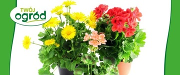 УДОБРЕНИЕ ДЛЯ ЦВЕТОК ЦВЕТУЩИХ РАСТЕНИЙ 100Г