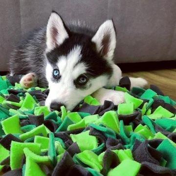 Нюхательный коврик для собак и кошек (разные цвета), развивающая игрушка для лакомств.