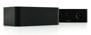 ЦЕНТРАЛЬНАЯ КОЛОННА ПИЛОН АУДИО ОПАЛ + МАСКА