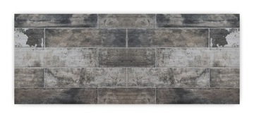 Panel hartowany lacobel grafika 150x60 cm PAN