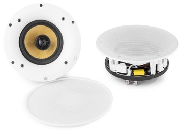 Głosniki WiFi/Bluetooth PD WSC80