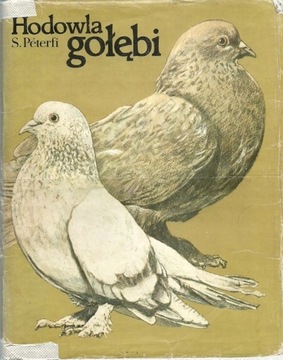 Hodowla gołębi Peterfi Stefan hobby gołębie ptaki