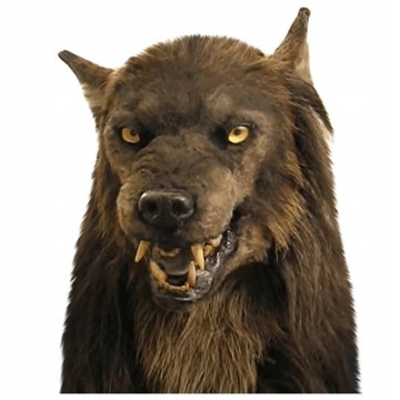 MASKA Wilkołaka nakrycia głowy maska kostiumowa na