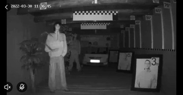 TUYA КАМЕРА МИКРОФОН SMART H.264 ДИНАМИК