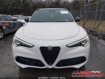 Alfa Romeo Stelvio SUV Facelifting 2.0 Turbo 280KM 2021 Alfa Romeo Stelvio Ti Sport, 2021r., 4x4, 2.0L, zdjęcie 6