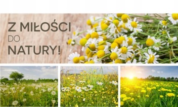 Kurkuma - 150g - Runo BEZ CHEMII 100% Natury