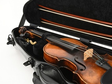 Футляр для скрипки Artonus Dolphin 4/4 GR-A '2