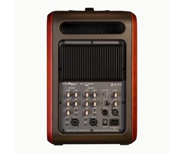 Л.Р. Бэггс Синапс, Пенсильвания