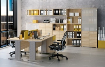 Книжный шкаф для документов для оптимального офиса