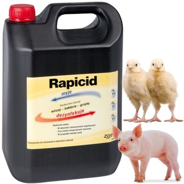 Rapicid 5l - środek do dezynfekcji - termin ważności 10/2026