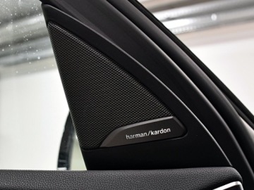 BMW X4 G02 SUV 30i 252KM 2020 BMW X4 AdaptiveLED/ Kamery 360/ Harman/ X Line/ Sy, zdjęcie 17