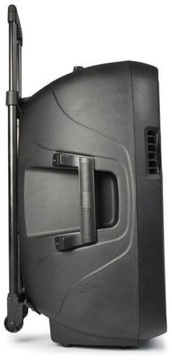 Мобильная звуковая система 15 дюймов BT 700 Вт 2 микрофона UHF USB