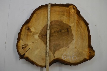Срез каштана 55х49см Толщина 6 см для смол