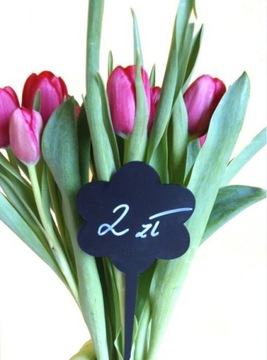 Ценники МЕЛОВЫЕ для цветов и растений - 10 шт.