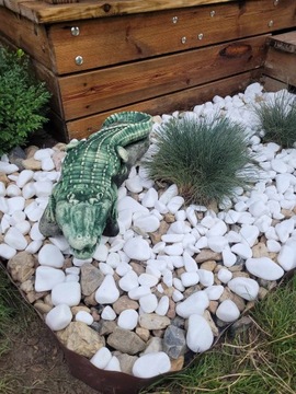 Figura ogrodowa gipsowa Krokodyl krokodyle figurka