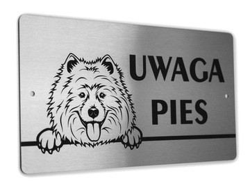 Tabliczka INOX - UWAGA PIES - Samojed / Samoyed