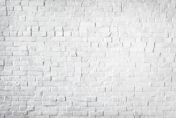 FOTOTAPETA 400x254 tapeta na flizelinie CEGŁA #F27