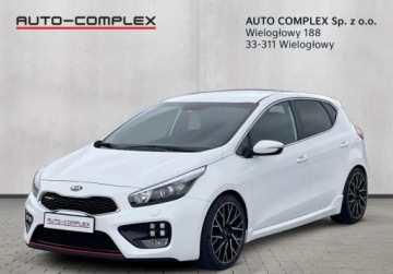Kia Ceed II GT 5d 1.6 T-GDI 204KM 2015 Kia Ceed Kia Ceed 1.6 T-GDI GT 1.6 Benzyna 204KM