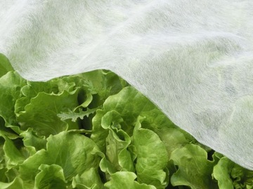 ТКАНЬ ФЛАНЗЕННАЯ АГРО САДОВАЯ ФЛАНЗЕННАЯ 1,1х5М ВЕСНА БЕЛАЯ 17г ПОКРЫТИЕ