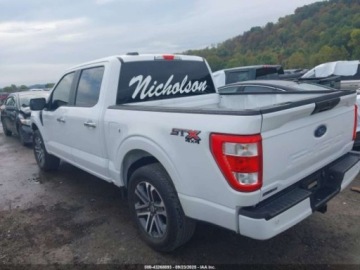 Ford 2023 Ford F150 XL 2023 5.0L 5.0 Benzyna 400KM, zdjęcie 3