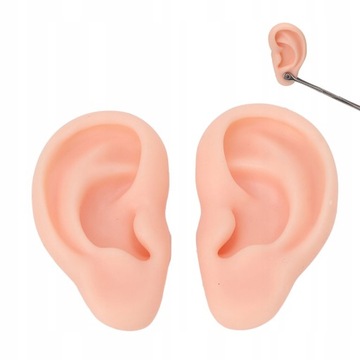 UCHA PIERCING PRAKTYKA MODEL SYMULACJA SILIKONOW
