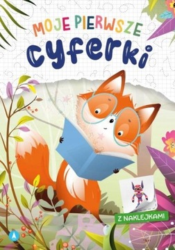 КОМПЛЕКТ ДЛЯ ОБУЧЕНИЯ ПИСАТЬ БУКВЫ, ЦИФРЫ, УЗОРЫ + НАКЛЕЙКИ XXXL, 6 шт.