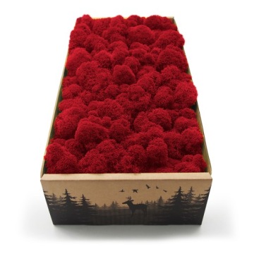 Mech chrobotek fiński 500g netto czerwony