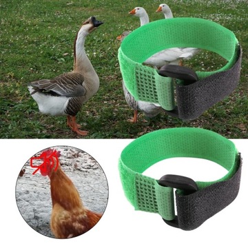 2x шейный ободок с курицей и петушком, анти-зеленый1