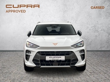 Cupra Terramar 2025 Cupra Terramar 2.0 TSI 204 KM DSG 4Drive/ Advantag, zdjęcie 9