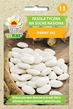 Fasola tyczna Piękny Jaś - nasiona 25g