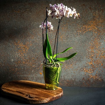 DONICZKA OSŁONKA NA STORCZYK KWIETNIK PLASTIKOWA ROŚLINY 9CM ZIELONA KADAX