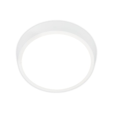 KINKIET / PLAFON ZEWNĘTRZNY ELEWACYJNY BIAŁY Ø 27 cm 24W LED
