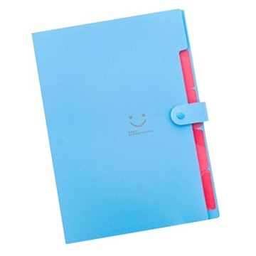 Plastikowy folder rozszerzający A4 Papierowy
